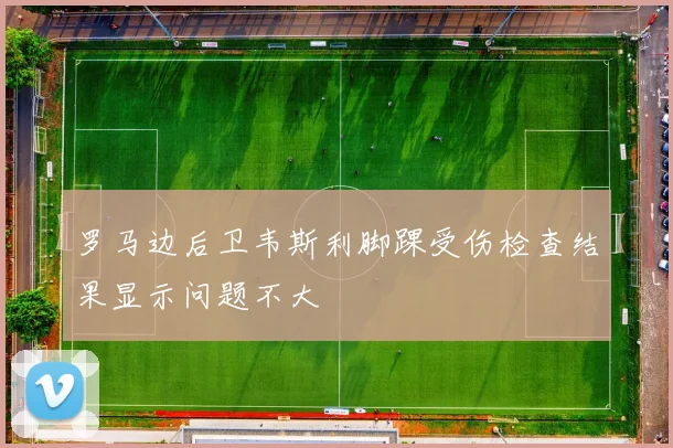 罗马边后卫韦斯利脚踝受伤检查结果显示问题不大