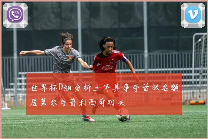 世界杯D组分析土耳其争夺晋级名额居莱尔与普利西奇对决