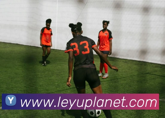 多媒体互动体验